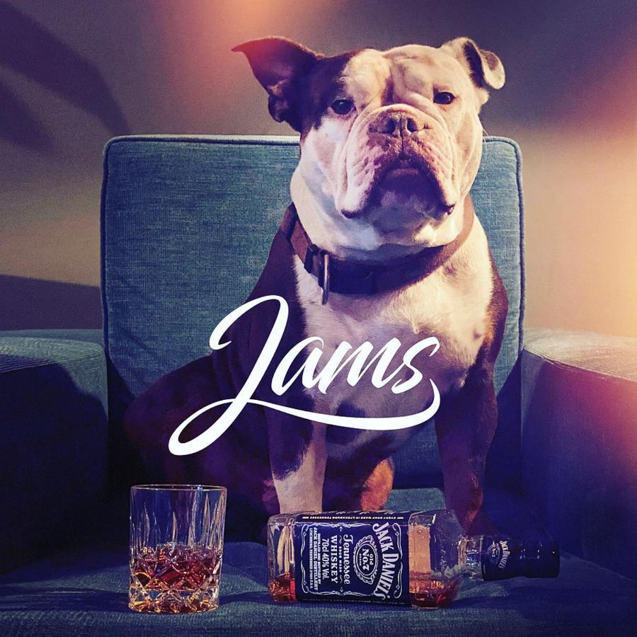 Jams Music Hotel ميونيخ المظهر الخارجي الصورة